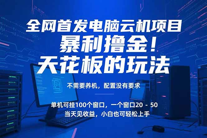 （15323期）电脑云机项目 暴力撸金玩法，不需要养机 配置没有要求 单机100个窗口一个窗口20-50