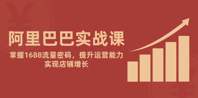 （14830期）阿里巴巴实战课：掌握1688流量密码，提升运营能力，实现店铺增长