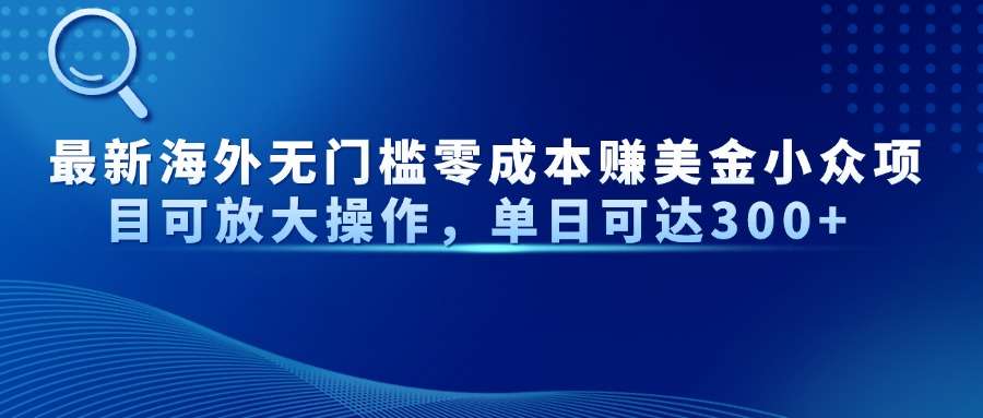 （14542期）最新海外无门槛零成本赚美金小众项目可放大操作，单日可达300+