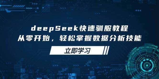 deepSeek快速驯服教程，从零开始，轻松掌握数据分析技能
