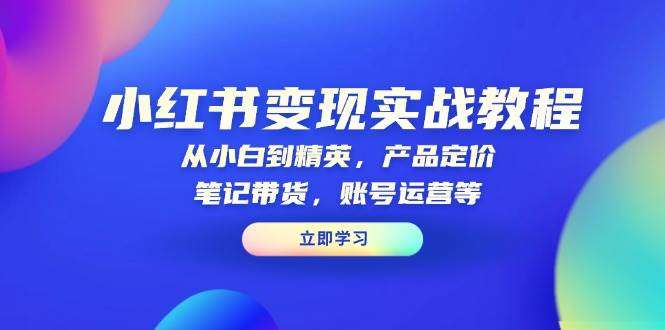 小红书变现实战教程：从小白到精英，产品定价，笔记带货，账号运营等
