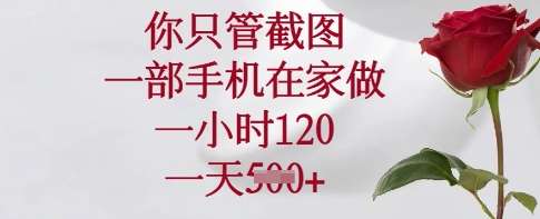 你只管截图，一部手机在家做，一小时120.一天5张