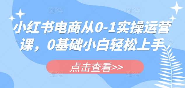 小红书电商从0-1实操运营课，0基础小白轻松上手