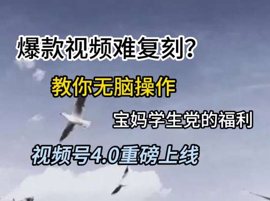 视频号4.0重磅上线，爆款视频难复刻？教你无脑操作宝妈学生党的福利