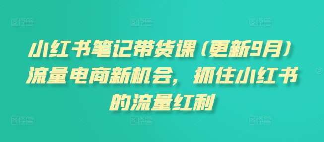 小红书笔记带货课【更新25年5月更新】流量电商新机会，抓住小红书的流量红利