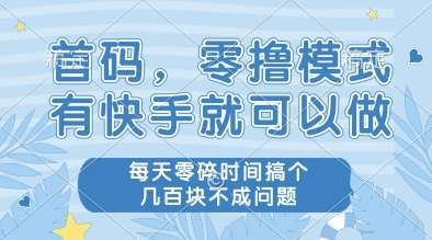首码，零撸模式，有快手就可以做，每天零碎时间搞个几张不成问题