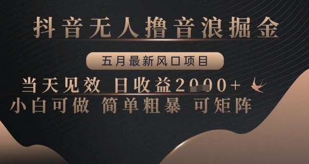 抖音无人撸音浪掘金，五月最新风口项目，当天见效，日收益多张，小白可做简单粗暴可矩阵