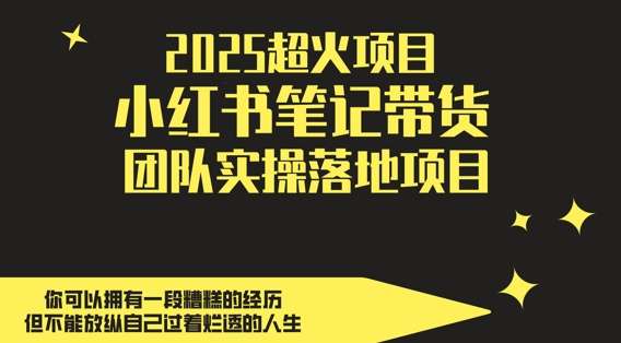 2025超火项目，副业最佳选择，小红书笔记带货团队实操落地项目，轻松日入5张