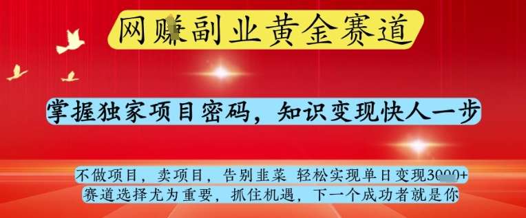 网创副业黄全赛道，掌握独家项目密码，知识变现快人一步，告别韭菜轻松实现单日变现1k+