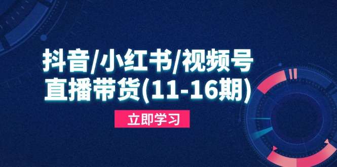 抖音小红书视频号短视频带货与直播变现(11-16期),打造爆款内容，实现高效变现（更新）