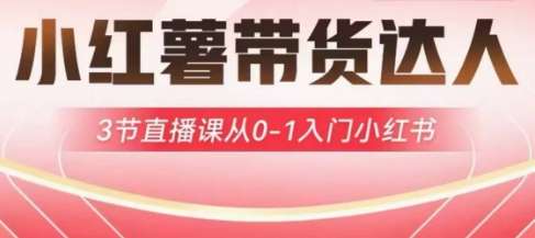 小红薯达人带货启航计划，3节直播课从0